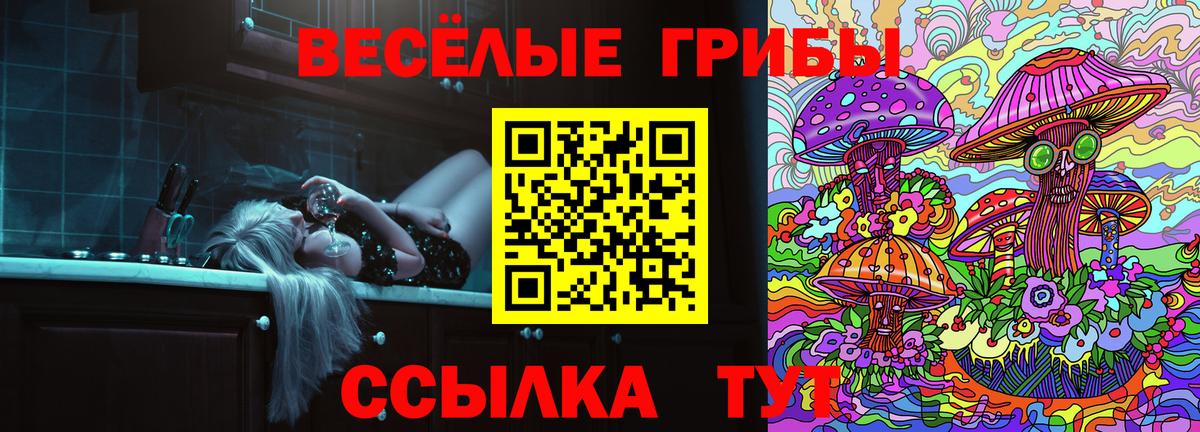 Светлоград  наркошоп  Вход с VPN  Галлюциногенные грибы прущие грибы 