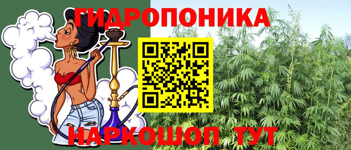 Шишки марихуана AK-47  Канабис гибрид  Вход с VPN  Светлоград 